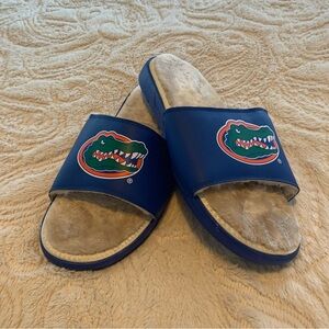 ISlide Florida Gators Faux Fur Slide Sandals - Royal Blue